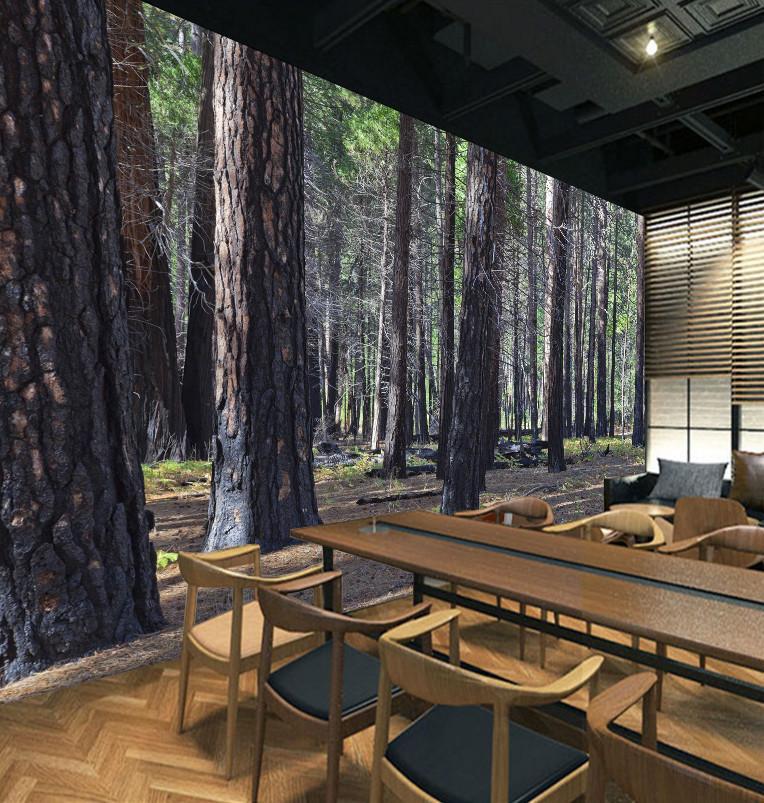 3D Trunk Forest 756 Wallpaper AJ Wallpaper