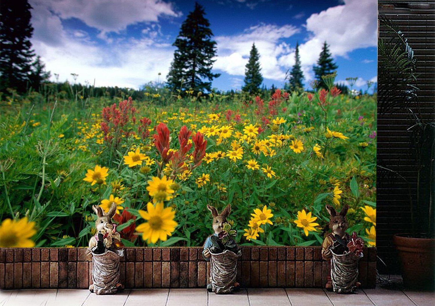 Wild Chrysanthemum And Pines 92 Wallpaper AJ Wallpaper 1