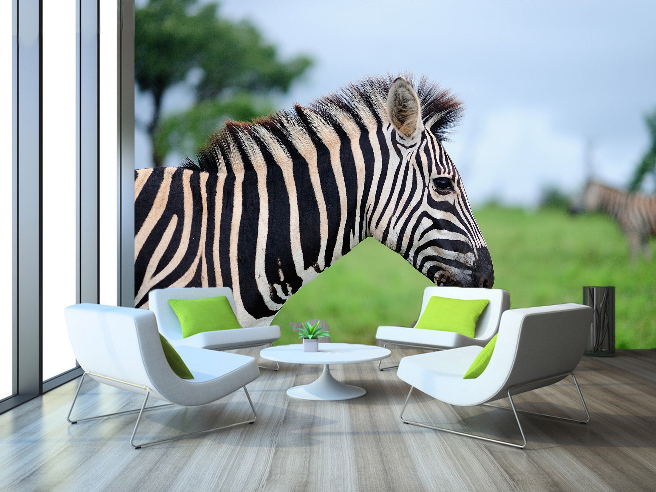 3D Zebra 57117 Wall Murals