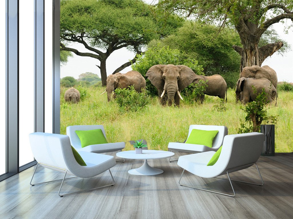 3D Elephants Family 628 Wallpaper AJ Wallpaper