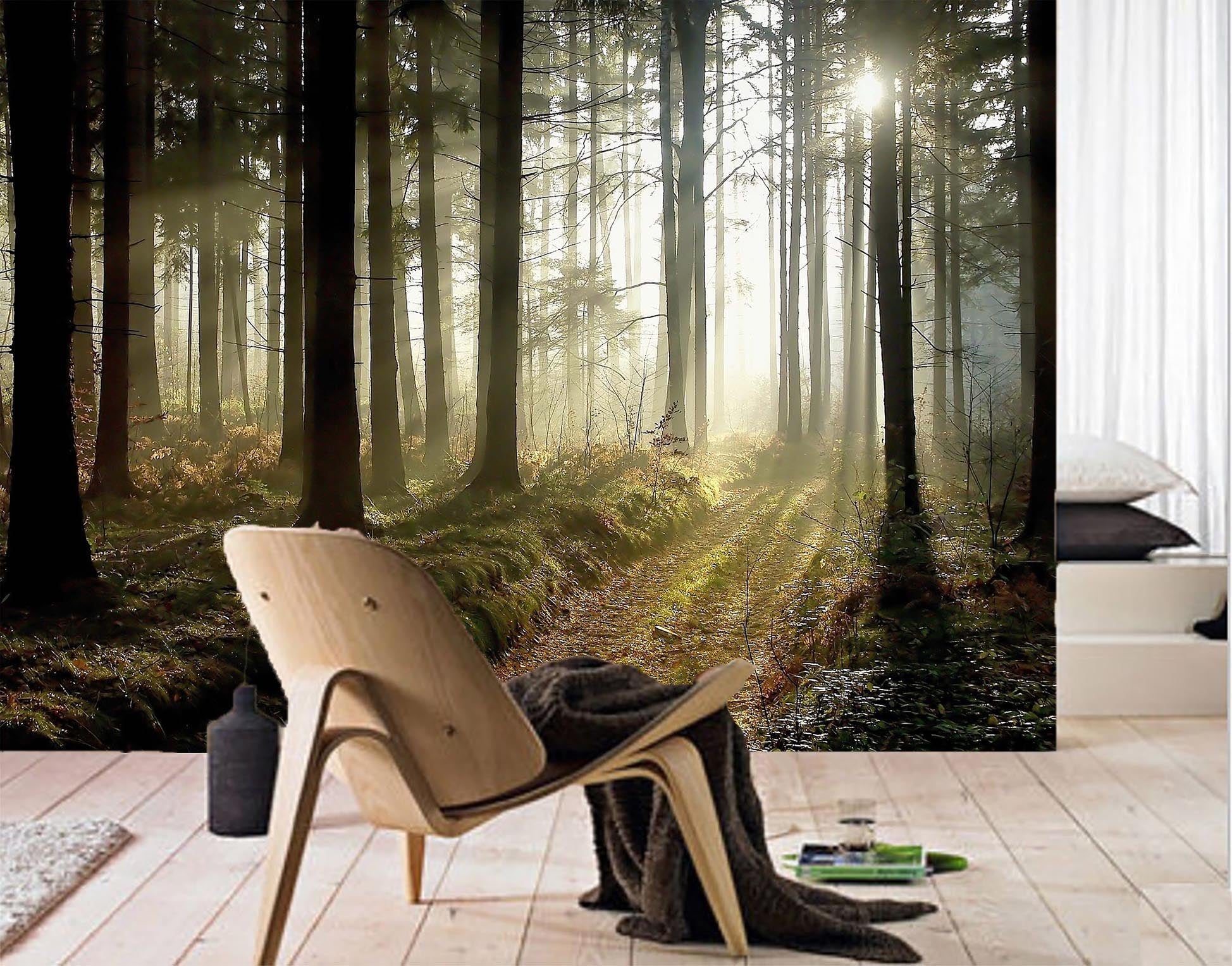 3D Sunshine Forest 08 Wall Murals Wallpaper AJ Wallpaper 2