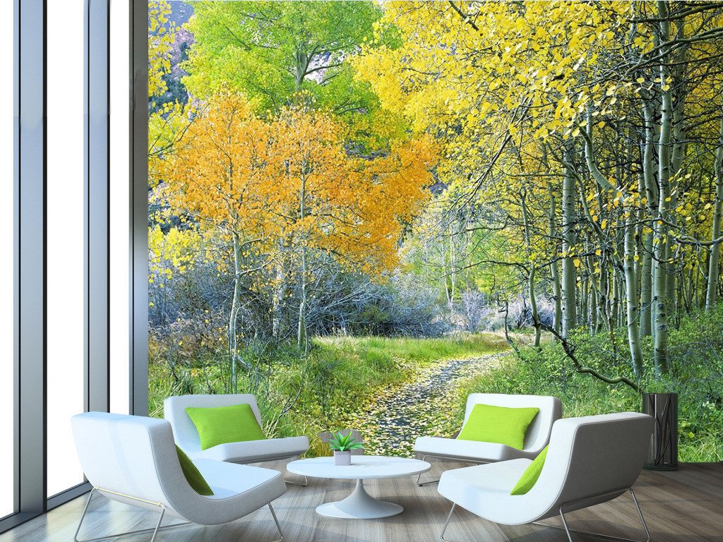 A Trail In Polar Forest 82 Wallpaper AJ Wallpaper 1