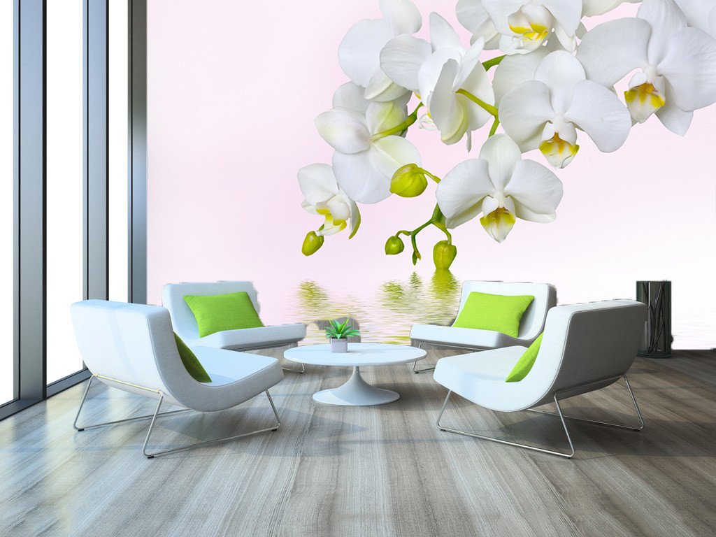 Elegant Flowers 7 Wallpaper AJ Wallpaper