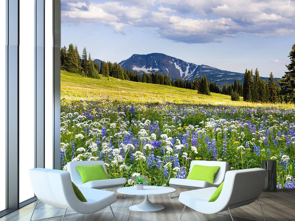 Fresh Wildflowers 1 Wallpaper AJ Wallpaper