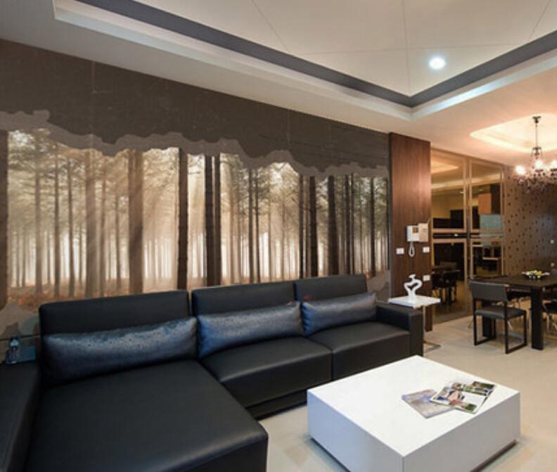 Densely Forest Trunks Wallpaper AJ Wallpaper