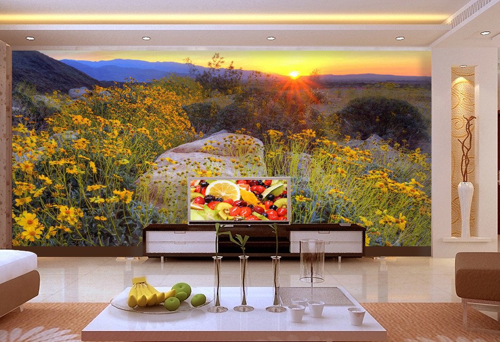 Sunset Glow And Chrysanthemum In Field 3 Wallpaper AJ Wallpaper 1