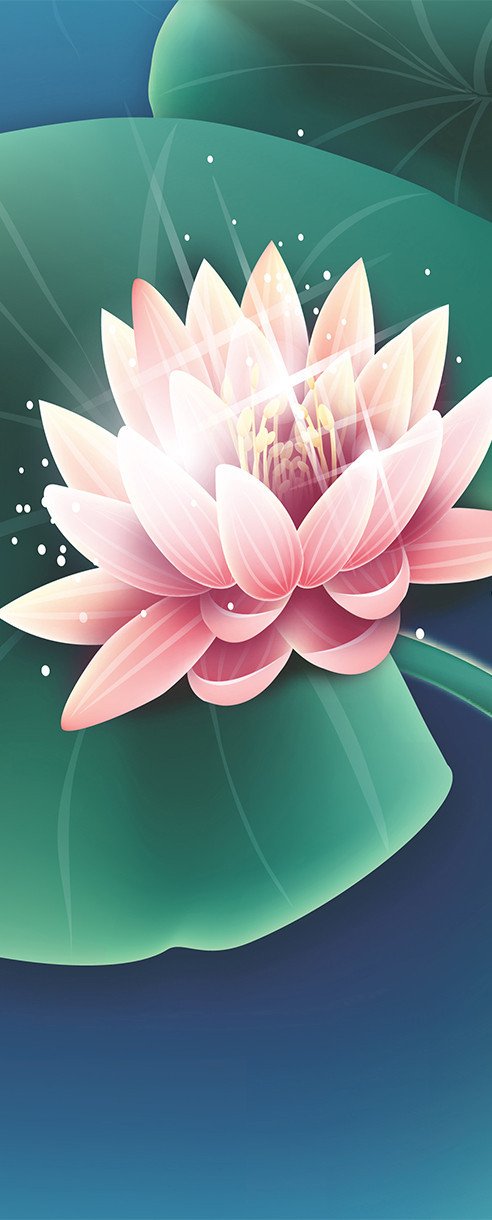 3D blooming lotus painting door mural Wallpaper AJ Wallpaper