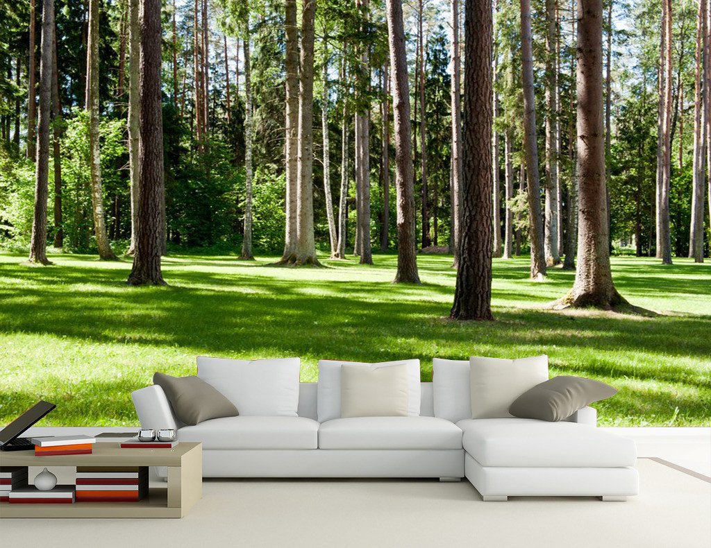 Grassland 1 Wallpaper AJ Wallpaper