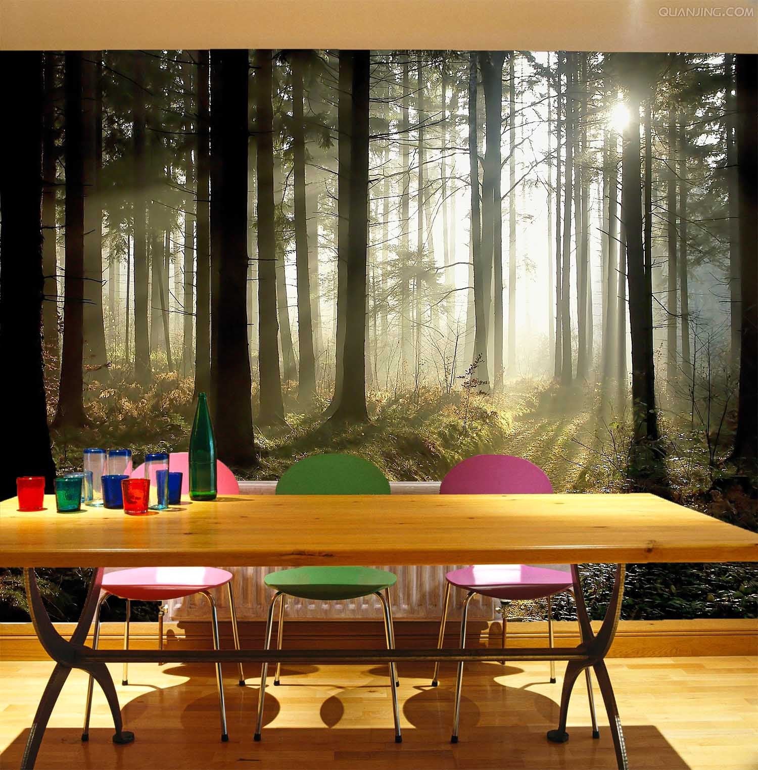 Forest Trail Wallpaper AJ Wallpaper