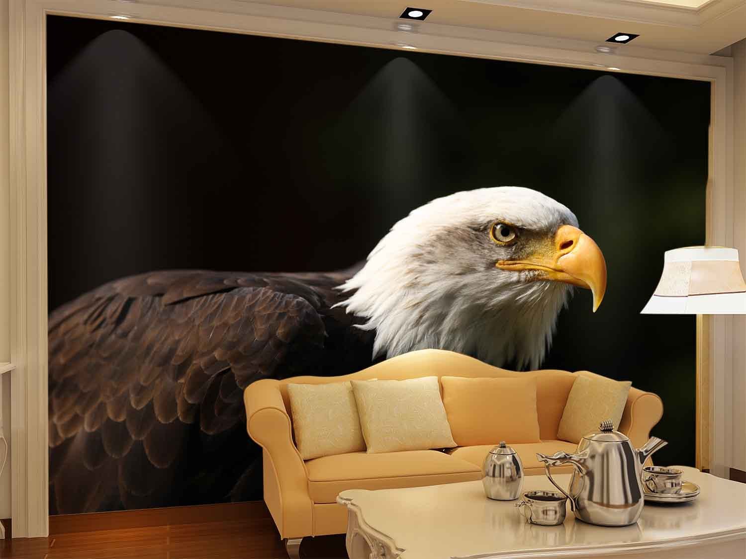 Beautiful Eagle 1 Wallpaper AJ Wallpaper