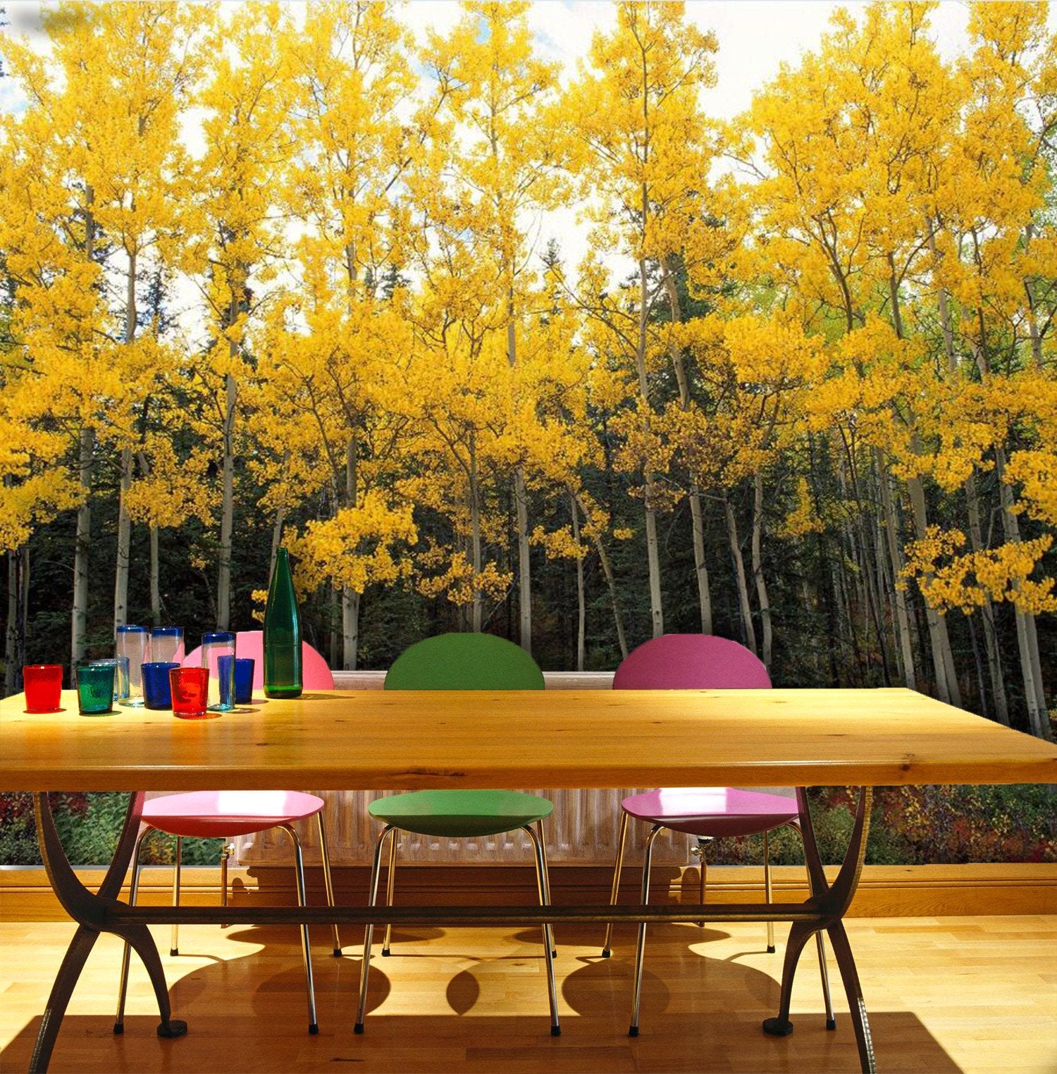 Standing Polar Trees 626 Wallpaper AJ Wallpaper