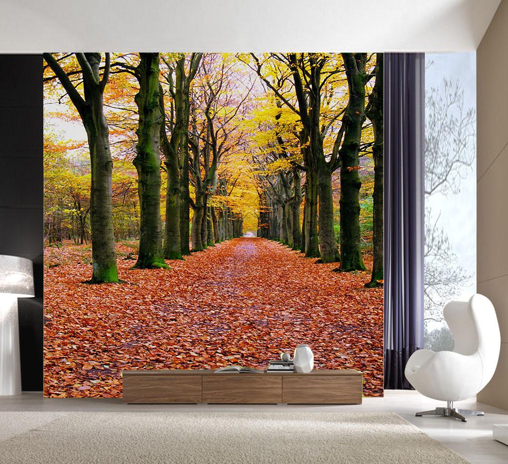 Fallen Leaves Ground Wallpaper AJ Wallpaper