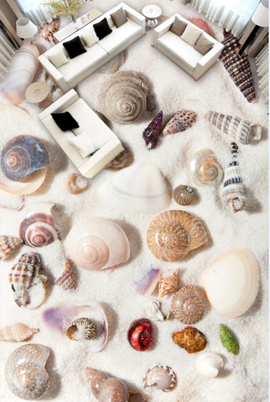 3D Shells And Conch Floor Mural Wallpaper AJ Wallpaper 2