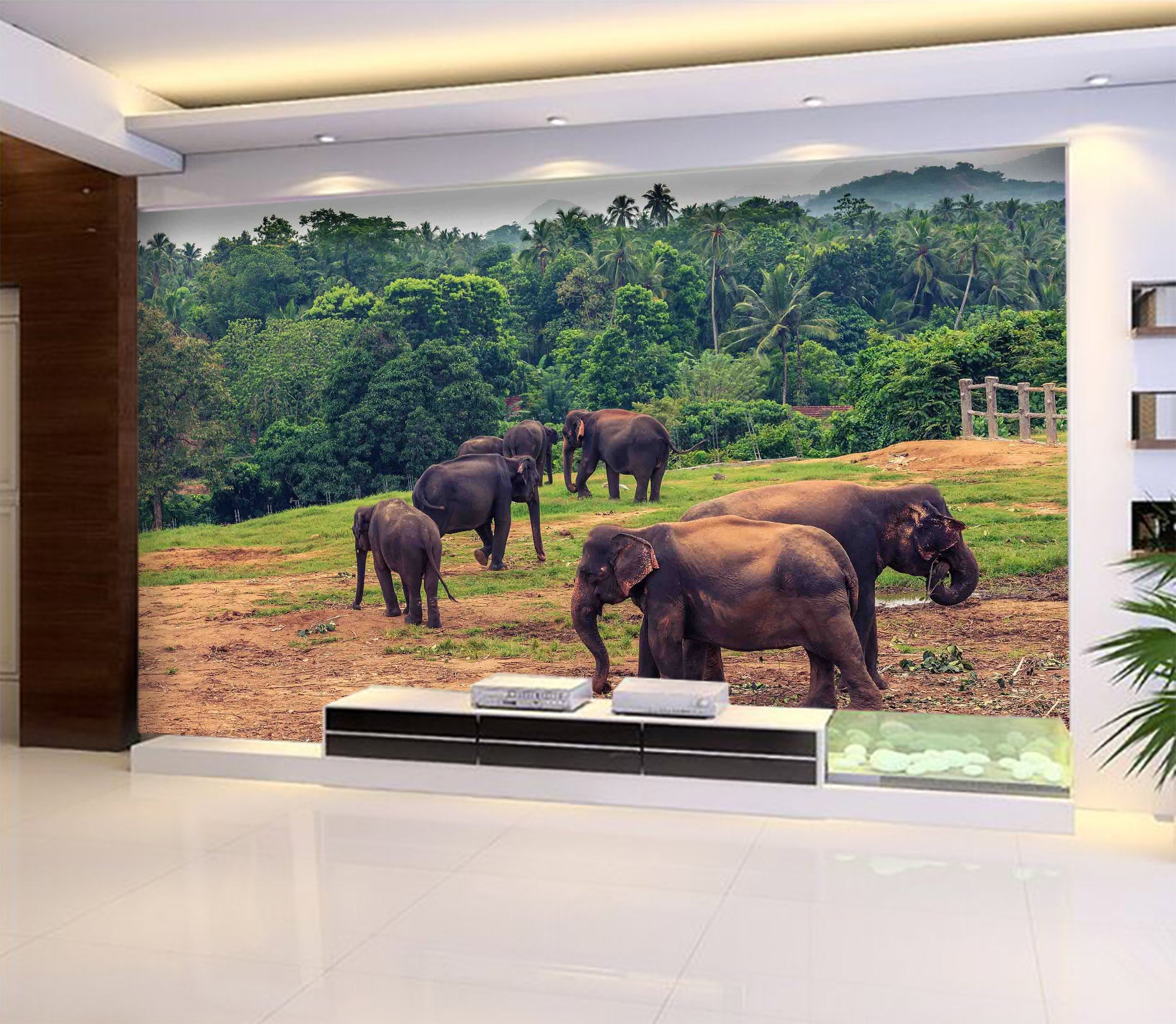 3D Elephant Herd 1056 Wall Murals