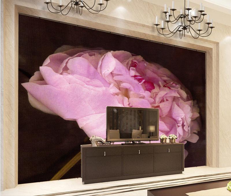 Hibiscus Wallpaper AJ Wallpaper