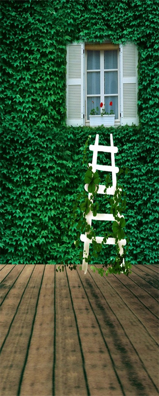 3D Ivy leaves ladder window door mural Wallpaper AJ Wallpaper