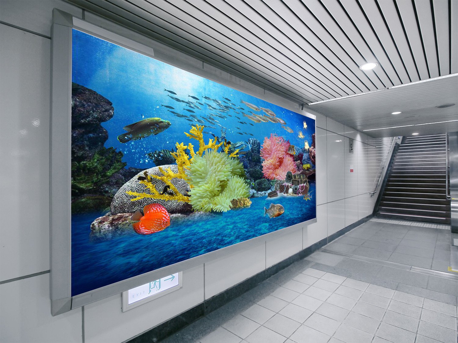 Seabed Fishes 52 Wallpaper AJ Wallpaper 1