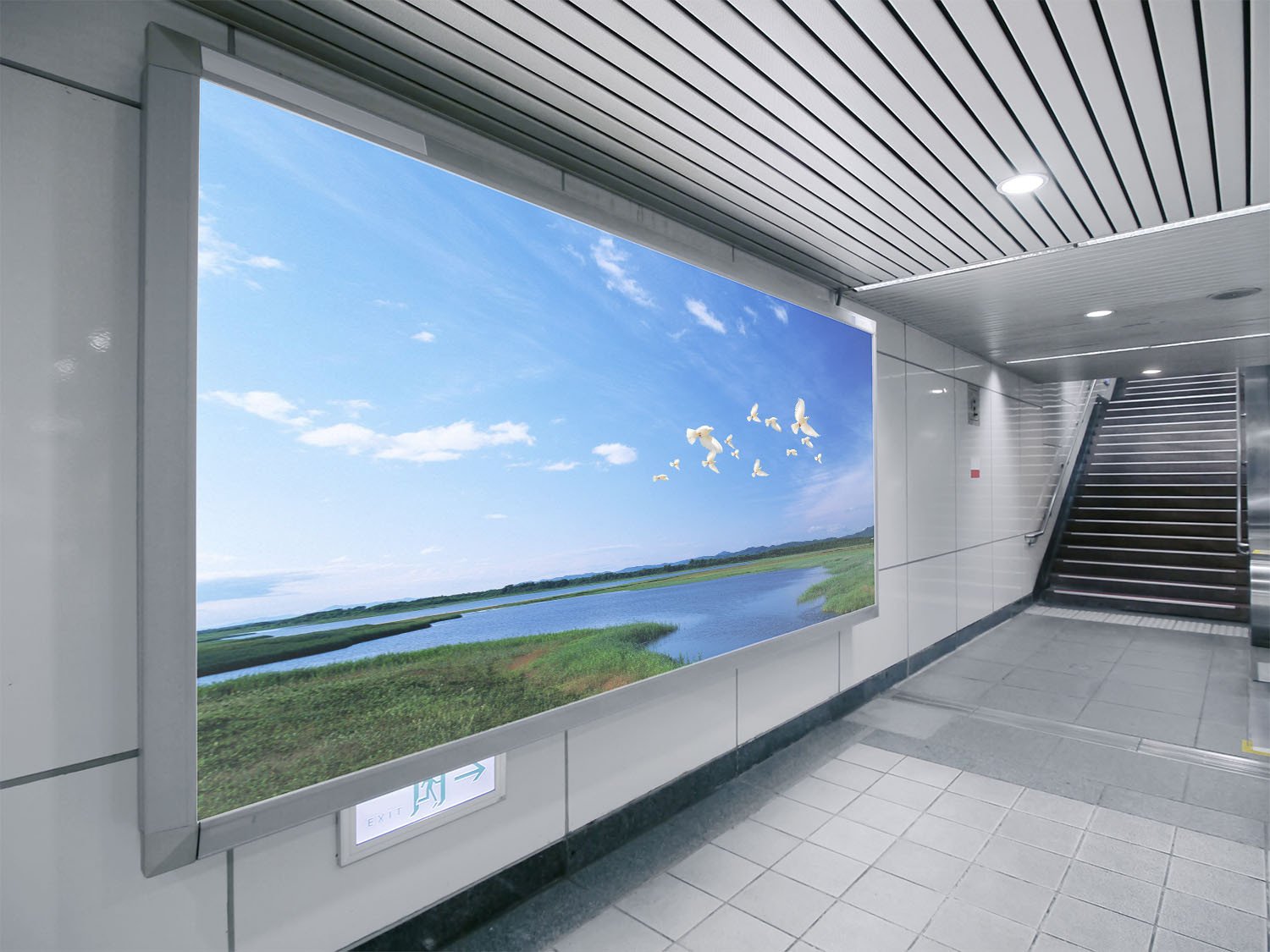 Flying White Doves Wallpaper AJ Wallpaper