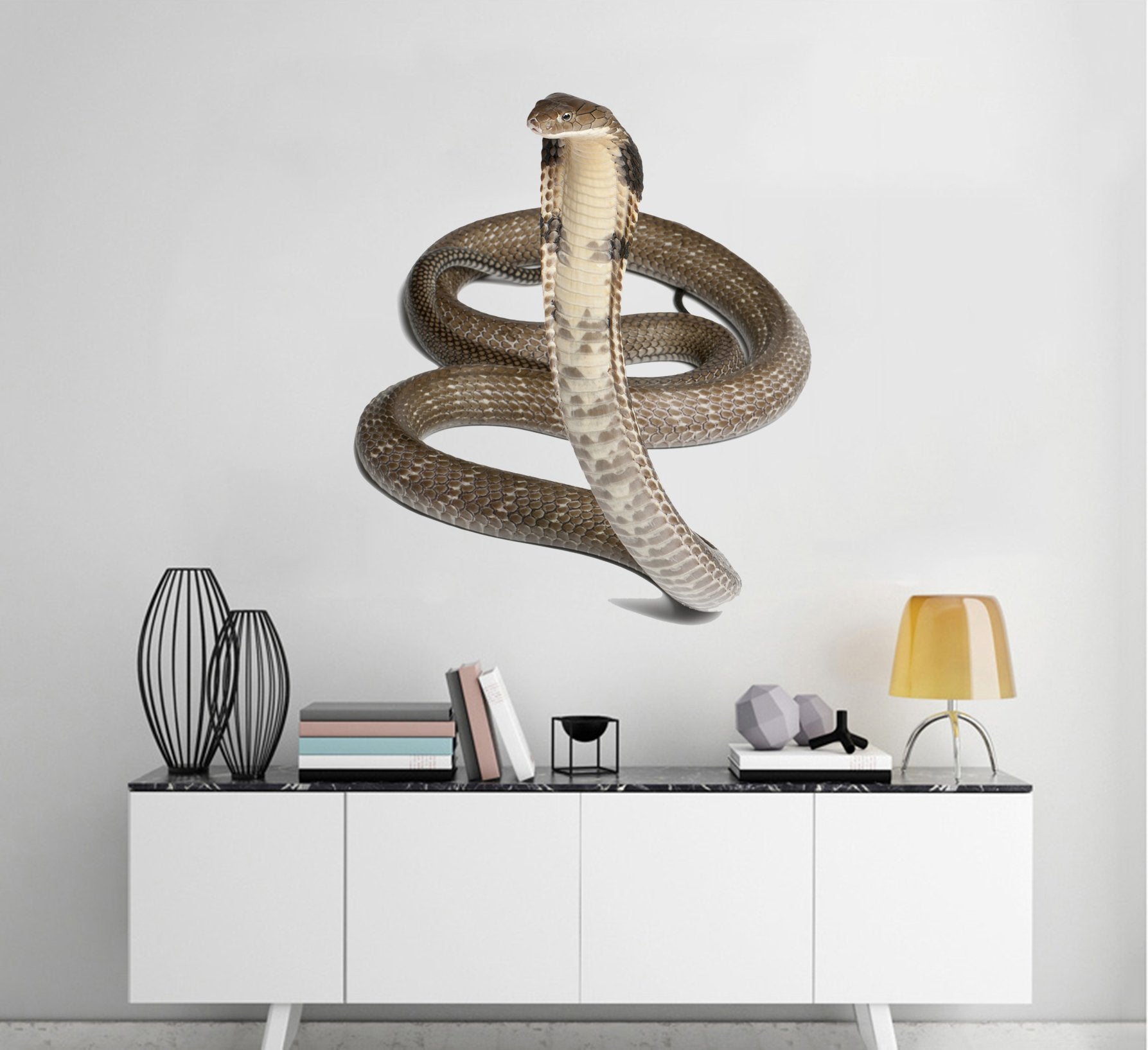 3D Snake Looking Up 161 Animals Wall Stickers Wallpaper AJ Wallpaper