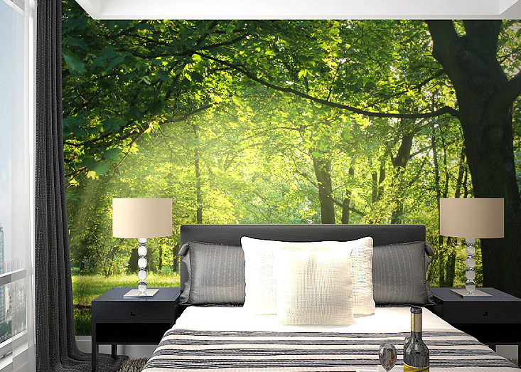 Forest Trees 2 Wallpaper AJ Wallpaper