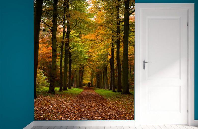 Mountain Path Wallpaper AJ Wallpaper