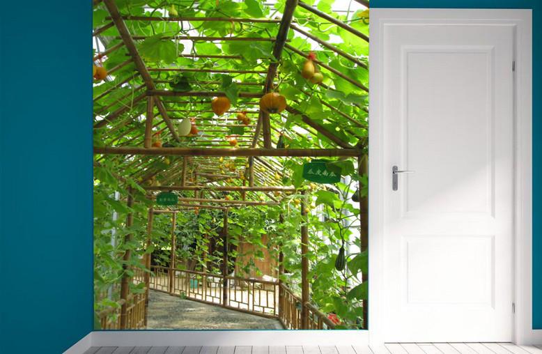 Pumpkin Garden Wallpaper AJ Wallpaper