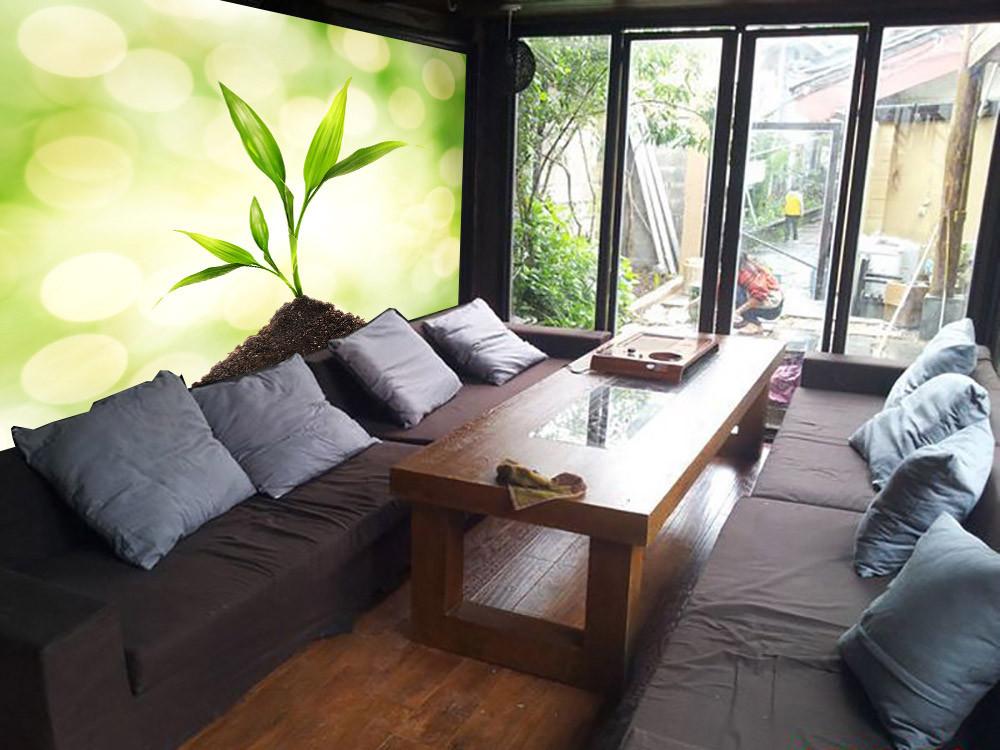 Green Plantle Wallpaper AJ Wallpaper