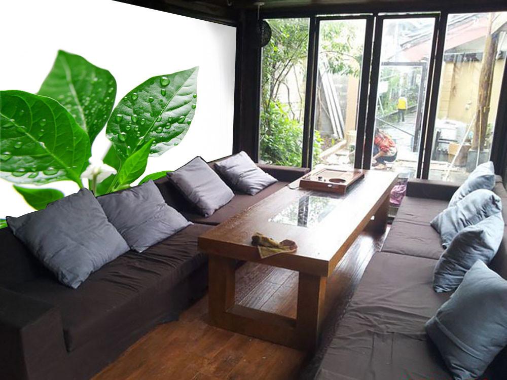 Fresh Dews Wallpaper AJ Wallpaper