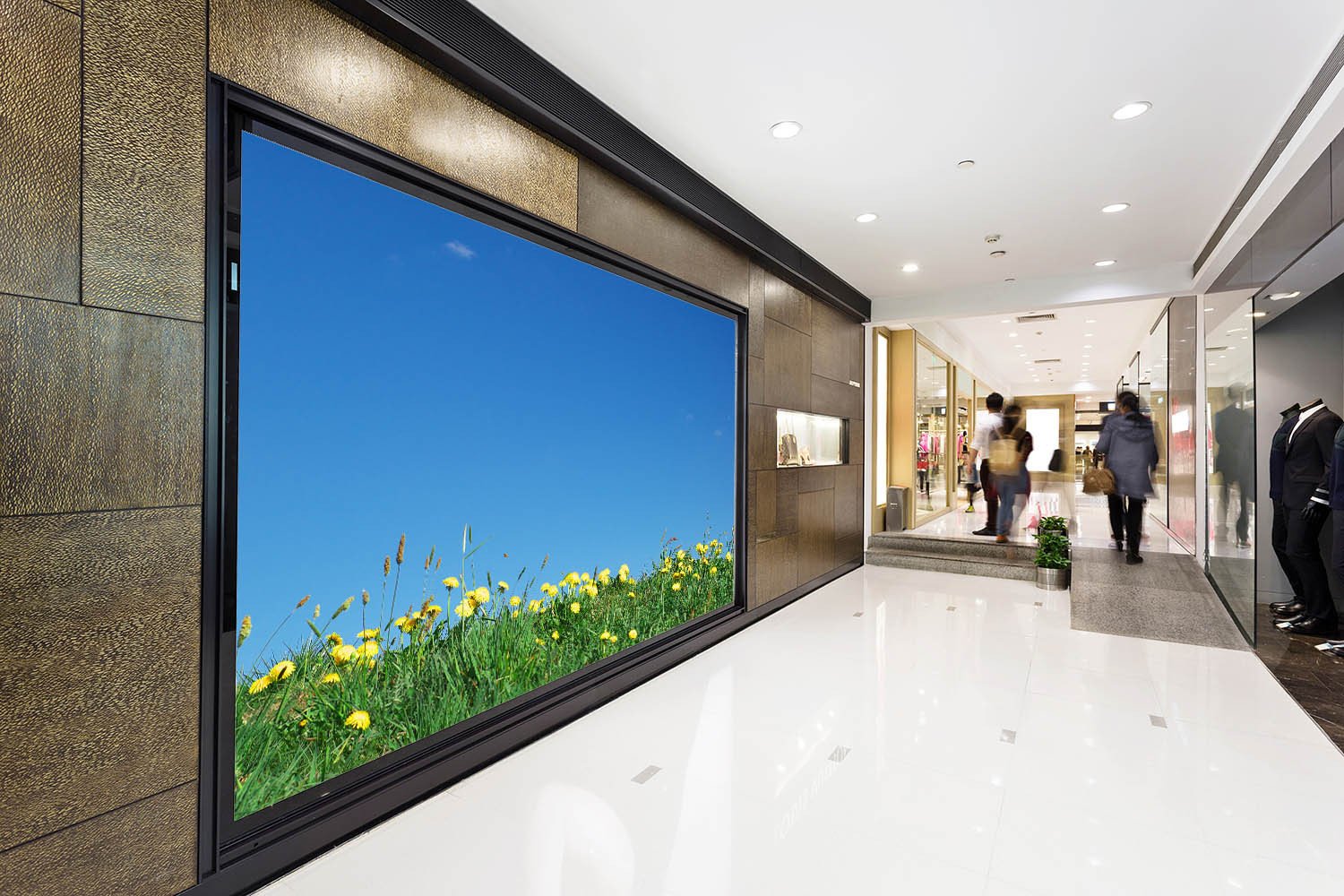 Yellow Wildflowers Wallpaper AJ Wallpaper