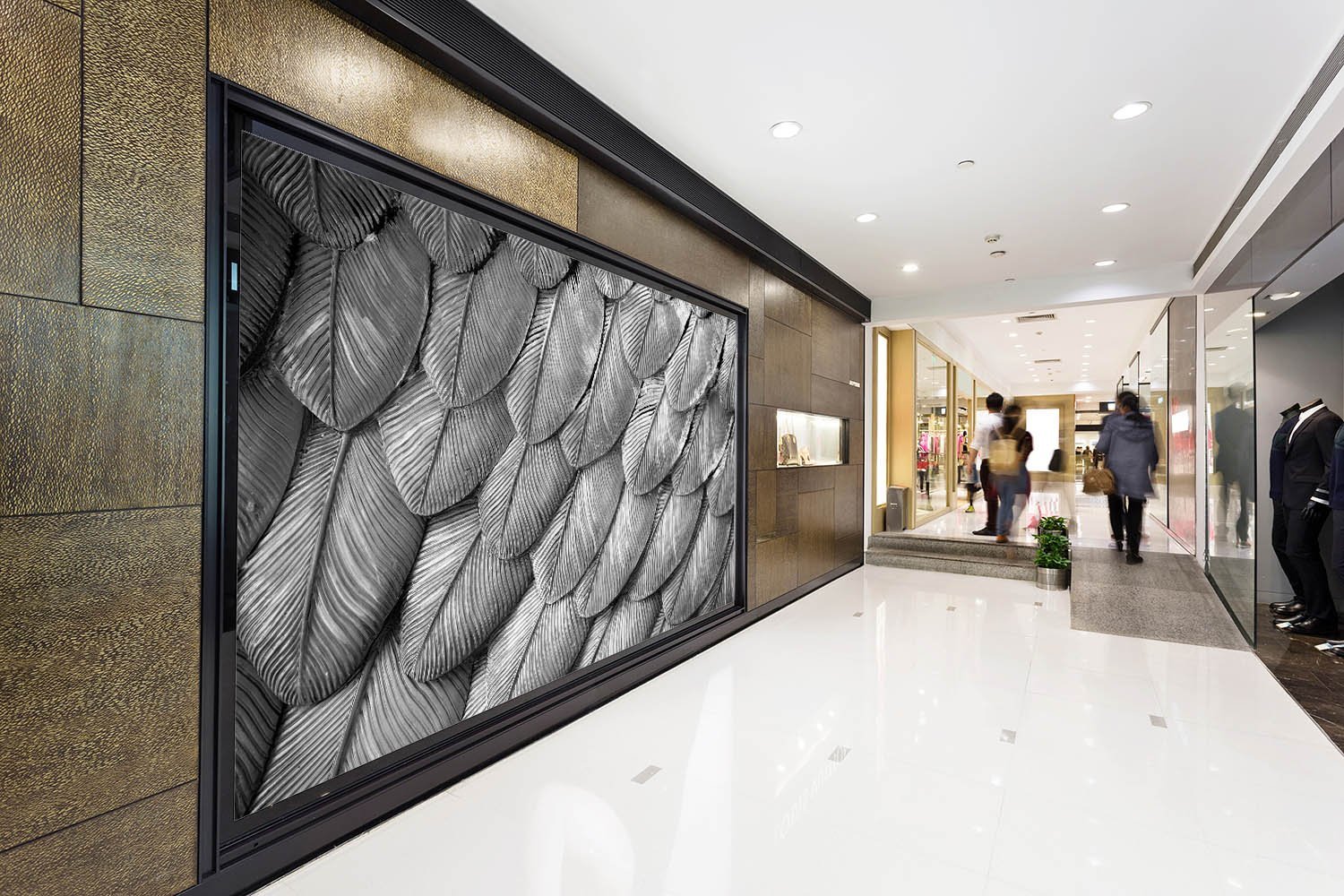 3D Big Feather 110 Wallpaper AJ Wallpaper