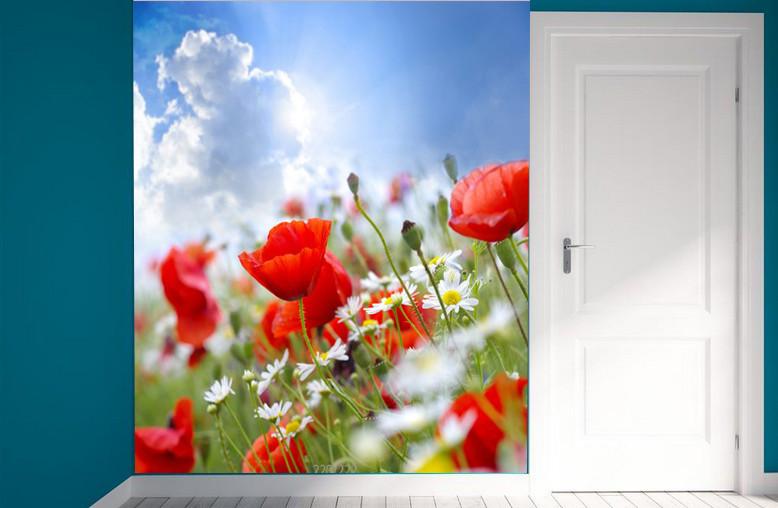 Beautiful Flowers 1 Wallpaper AJ Wallpaper