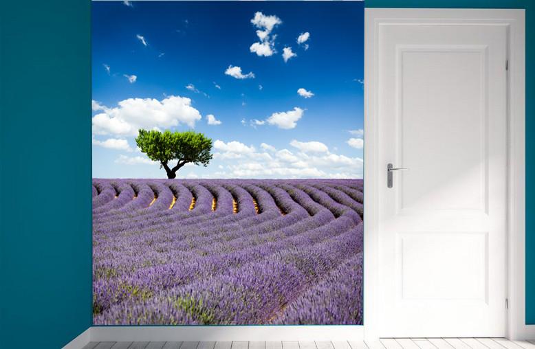 Lavender Fields 1 Wallpaper AJ Wallpaper