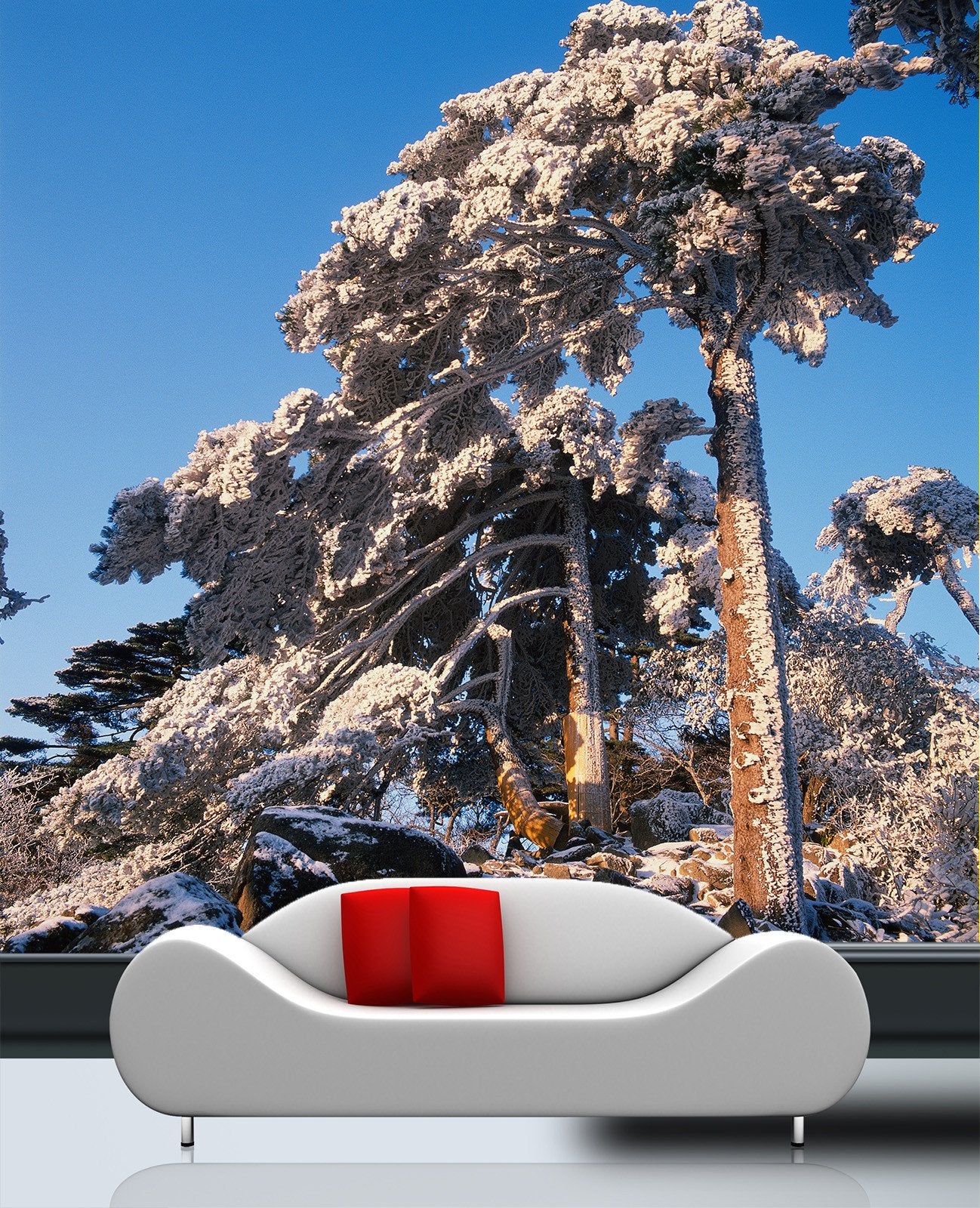 Cedars Wallpaper AJ Wallpaper