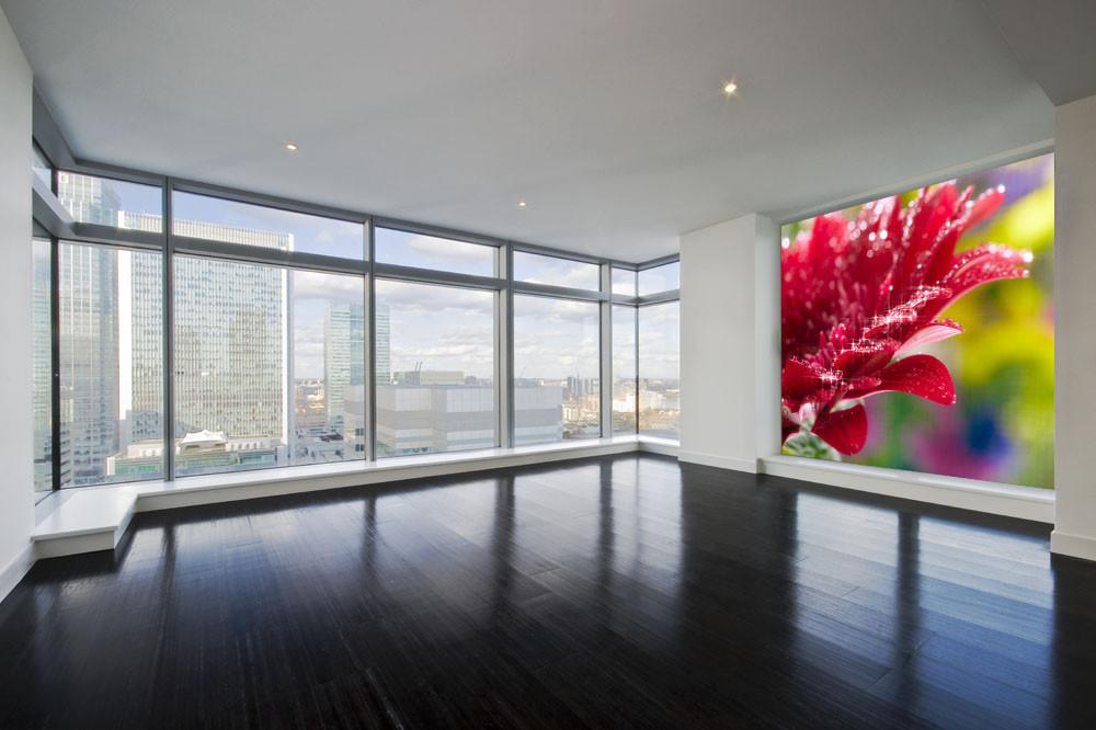 Red Flower 2 Wallpaper AJ Wallpaper