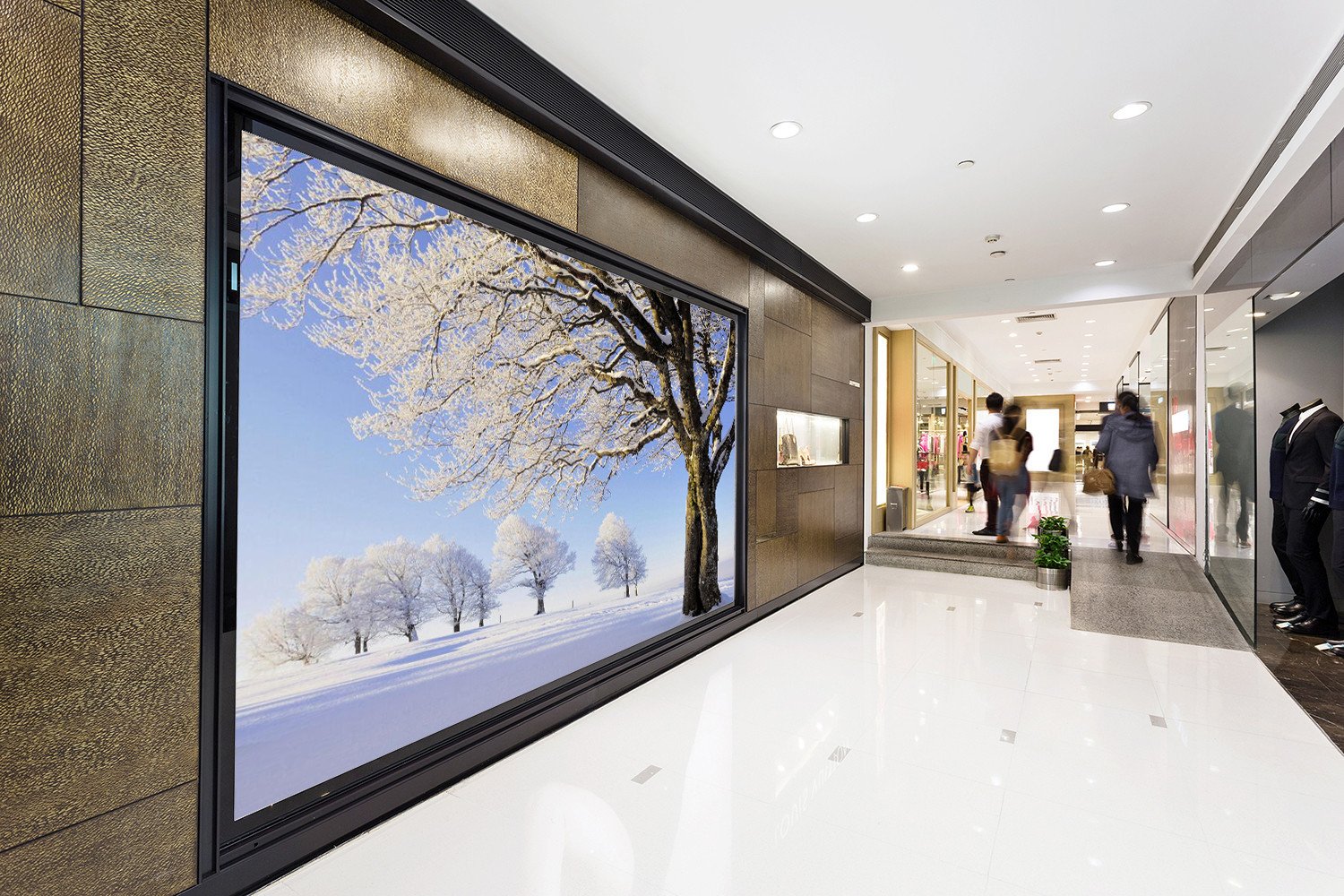 Standing Snowy Trees 56 Wallpaper AJ Wallpaper 1