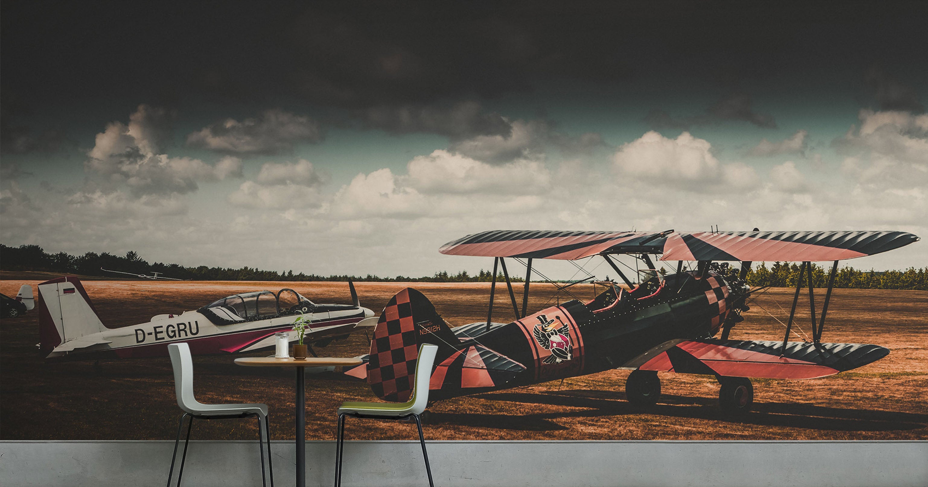 3D Panorama Aircraft 184 Vehicle Wall Murals