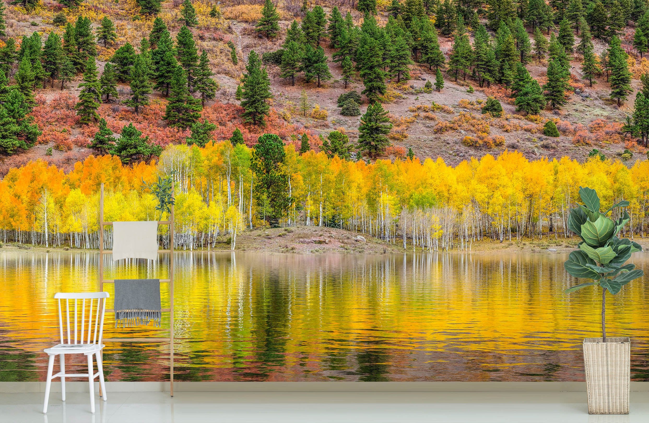 3D American Autumn 1399 Marco Carmassi Wall Mural Wall Murals Wallpaper AJ Wallpaper 2