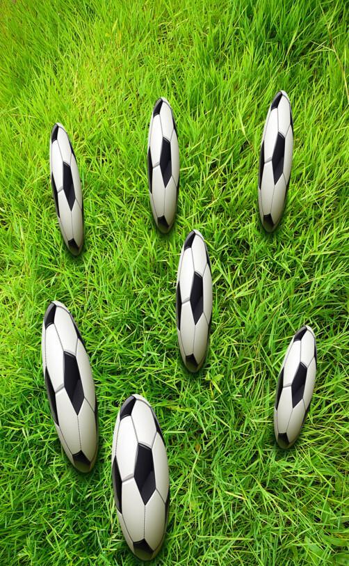 3D Grassland Footballs Floor Mural Wallpaper AJ Wallpaper 2
