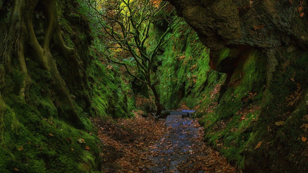 3D Mountain Deep Path 240 Garage Door Mural Wallpaper AJ Wallpaper