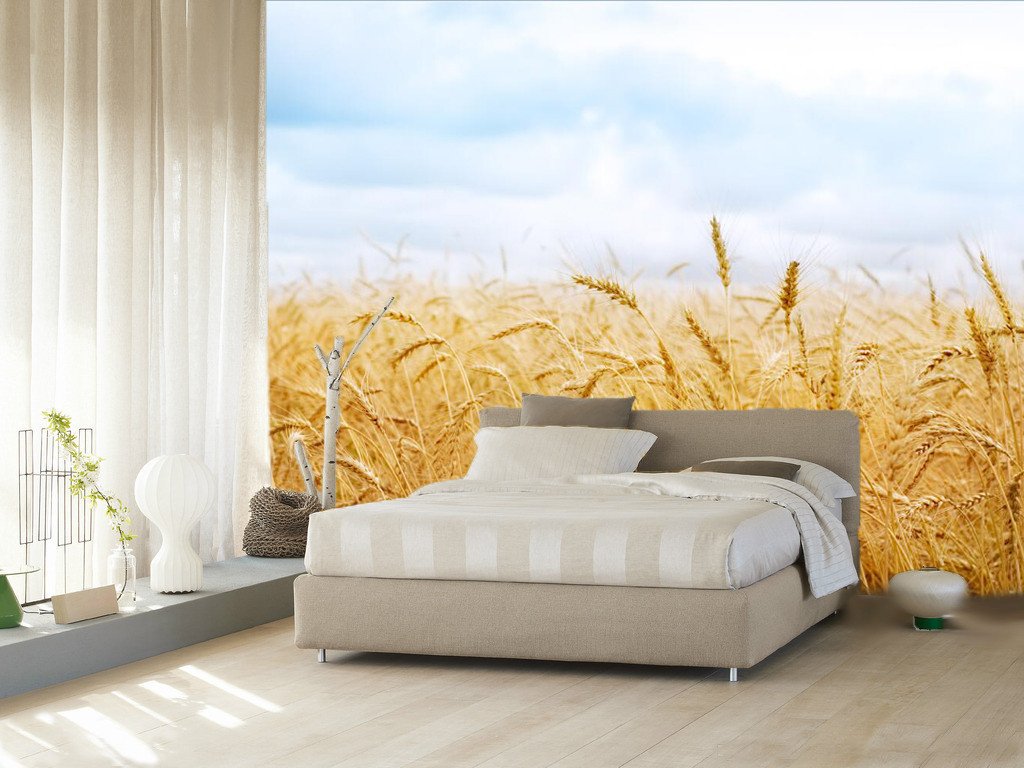 Wheat Crops 52 Wallpaper AJ Wallpaper 1