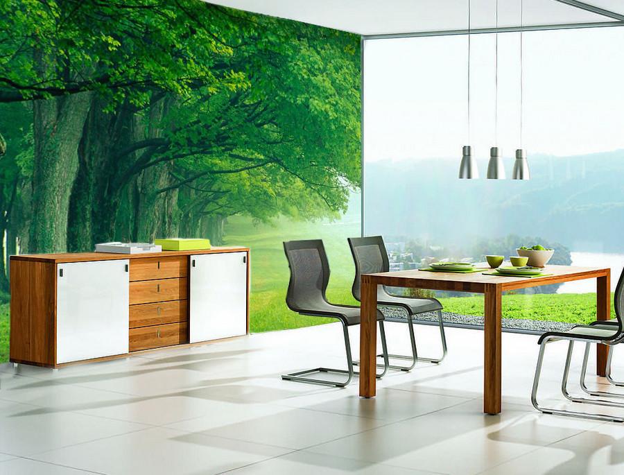 Green Forest Road 35 Wallpaper AJ Wallpaper 1