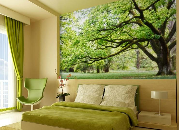 Big Green Trees 4 Wallpaper AJ Wallpaper