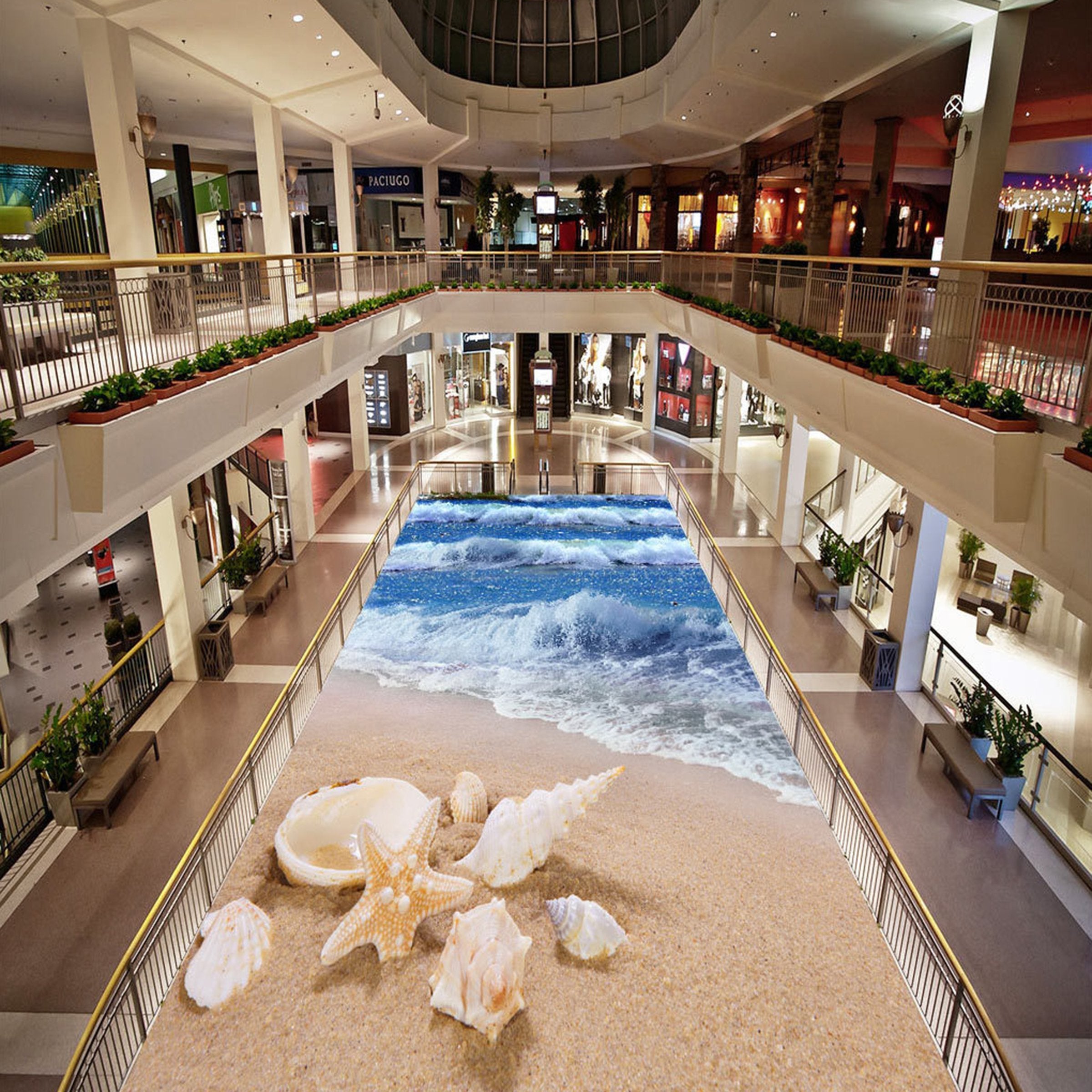 3D Beach Shell WG086 Floor Mural Wallpaper AJ Wallpaper 2