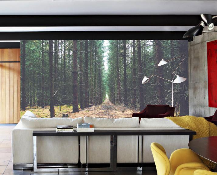 Forest Mud Road Wallpaper AJ Wallpaper