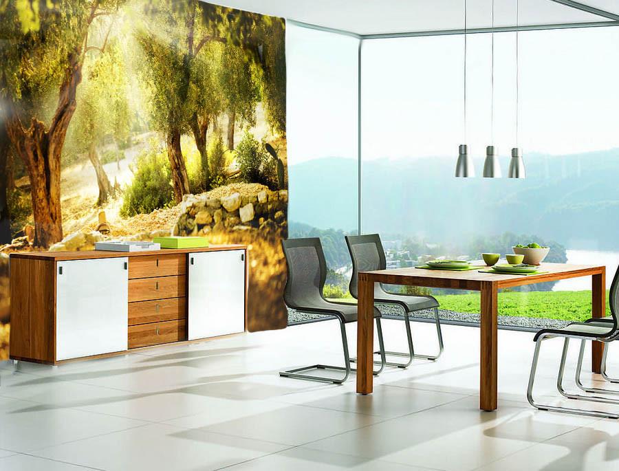 Old Trees Wallpaper AJ Wallpaper