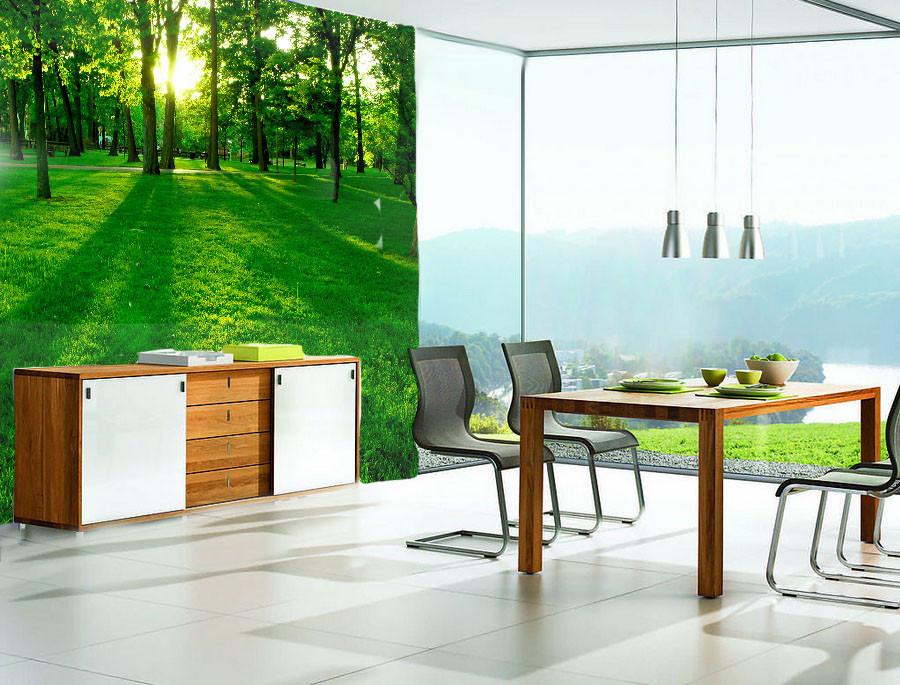 Green Forest 5 Wallpaper AJ Wallpaper