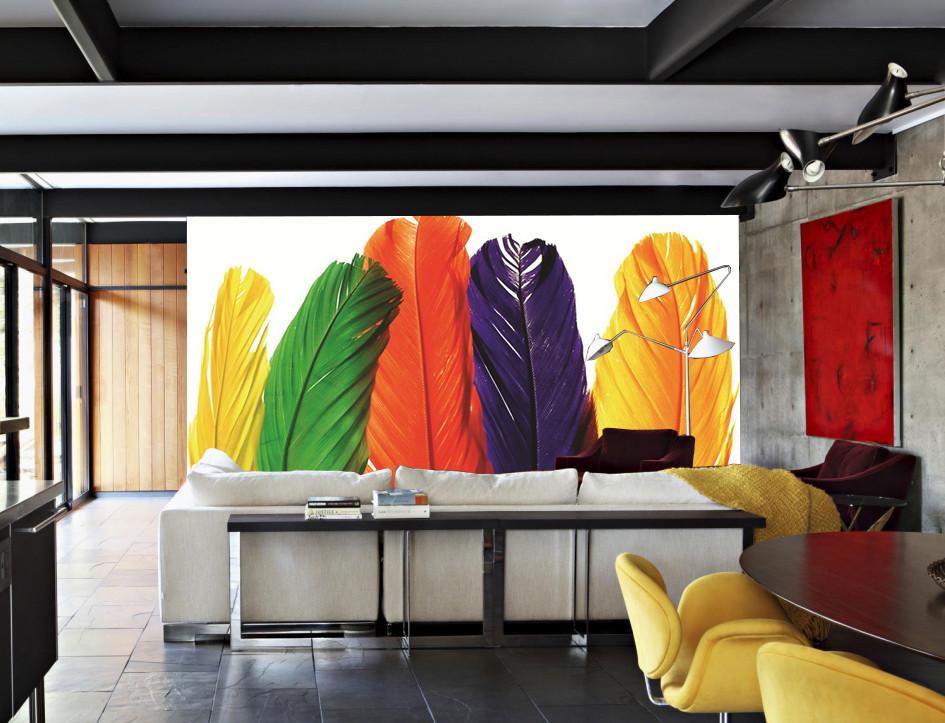 Colorful Feathers 1 Wallpaper AJ Wallpaper