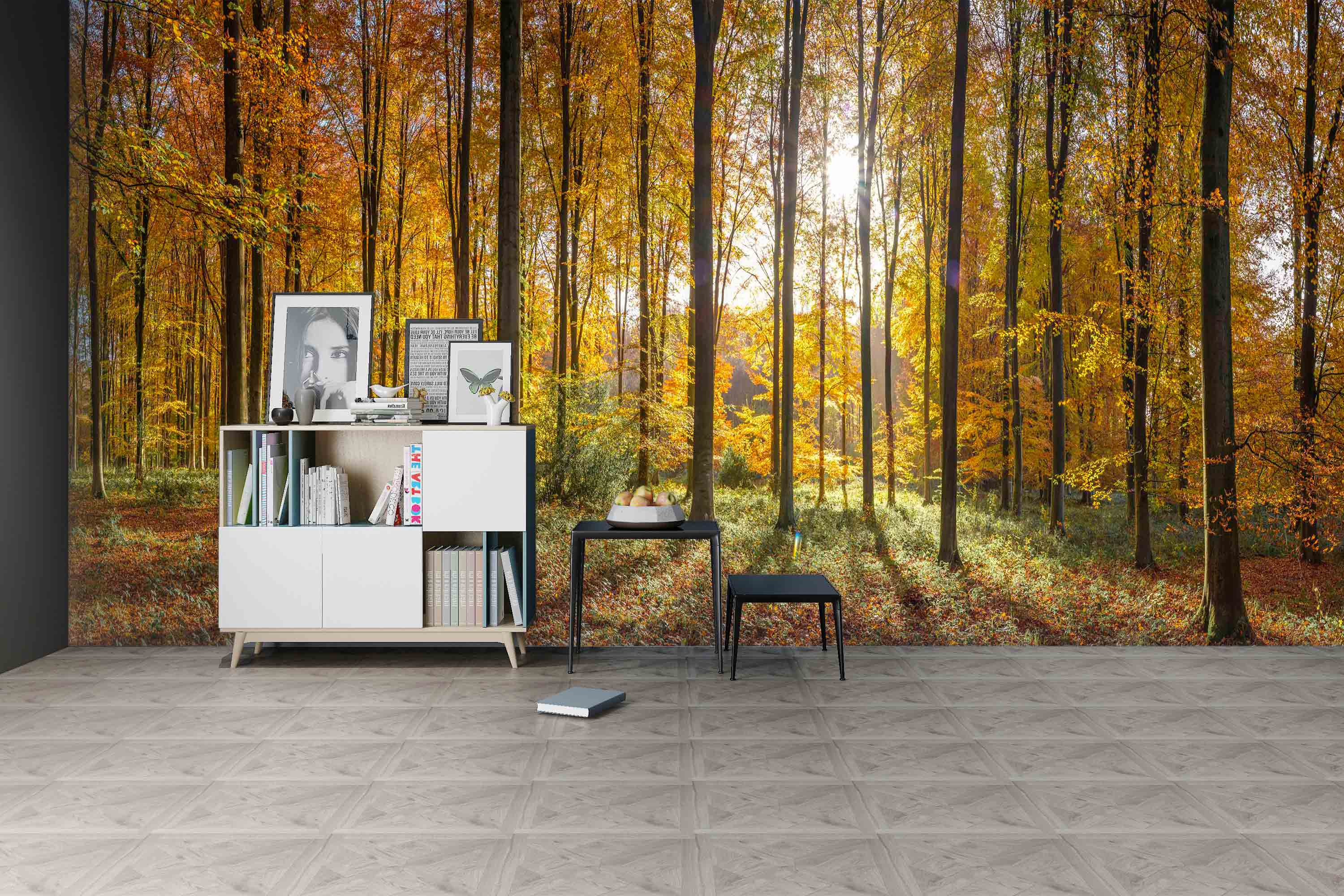 3D Autumn Forest 6276 Assaf Frank Wall Mural Wall Murals