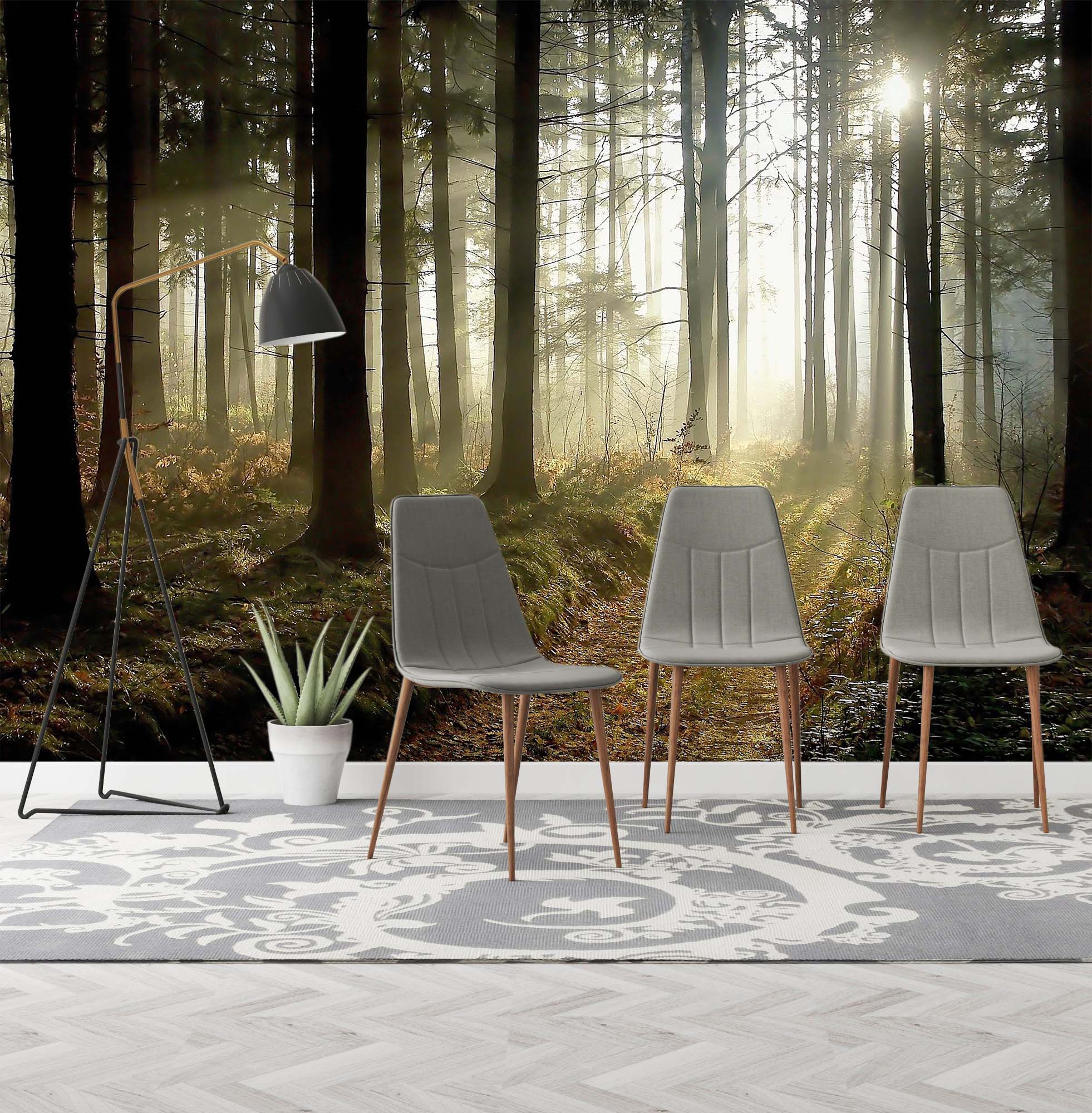 3D Sunshine Forest 08 Wall Murals Wallpaper AJ Wallpaper 2