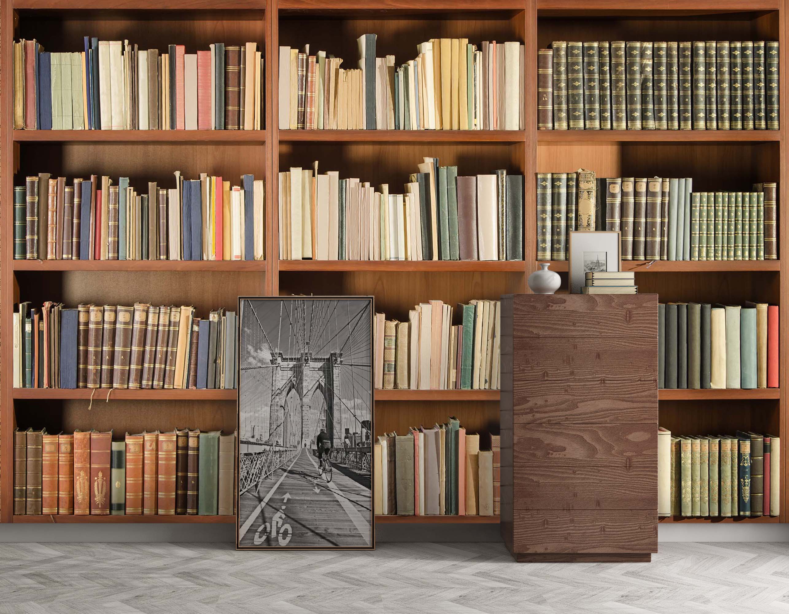 3D Collection Bookshelf 039 Wall Murals